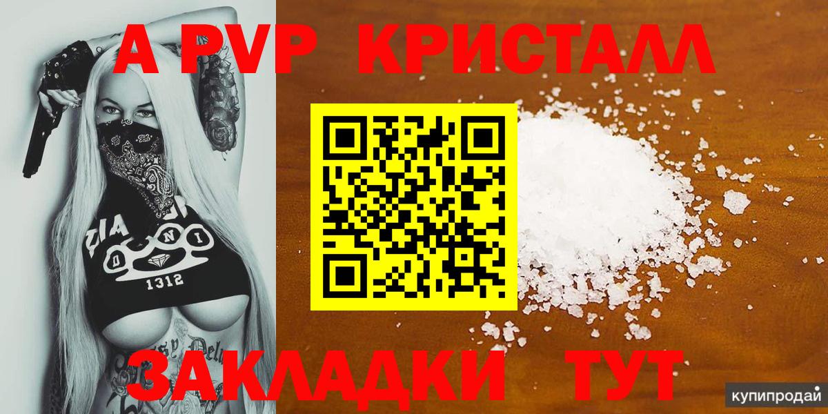 Альфа ПВП СК Малгобек