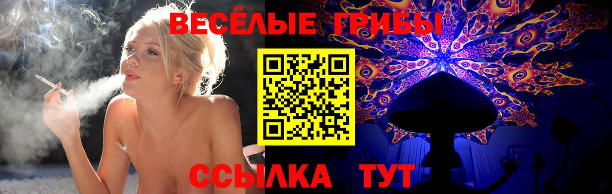Малгобек  Псилоцибиновые грибы ЛСД  Вход с VPN 